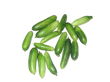 Ivy Gourd - कुंदुरी